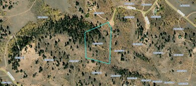 187 Rhea Rd, Como, CO 80432 - photo 3