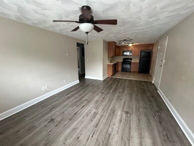 1105 Lexington St unit 4-1, Waltham, MA 02452 - photo 2