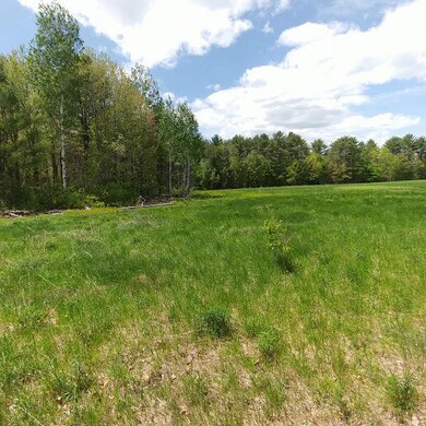 spring stevens corner 1