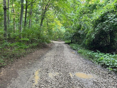 1 Jones, Put-In-bay, OH 43456 - photo 3