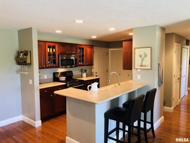 4529 N Tallgrass Ln unit 106D, Peoria, IL 61615 - photo 2