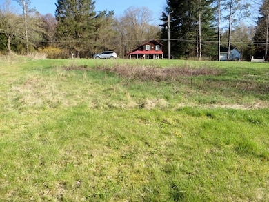 0 Old Bernice Rd unit 31721825, Mildred, PA 18632 - photo 6