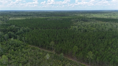 0 Fire Tower Rd, Manor, GA 31550 - photo 3