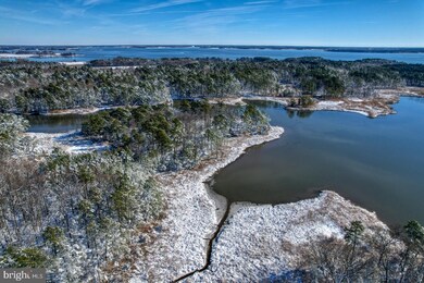 3779 Eastern Neck Rd, Rock Hall, MD 21661 - photo 6