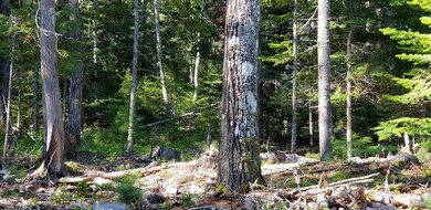 20190719_090401