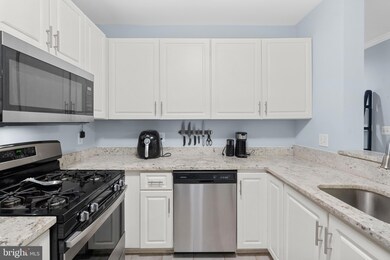 The Pavillion unit 207, Falls Church, VA 22043 - photo 6