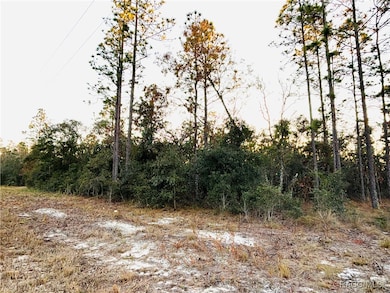 TBD SW Sea Cliff Ave, Dunnellon, FL 34431 - photo 2