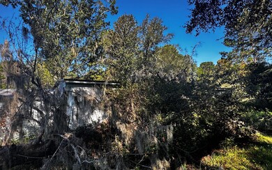 355 NE Rebecca Terrace, Lake City, FL 32055 - photo 4