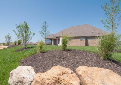 View from back Yard