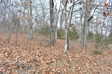 Lot 32 Forest Hills Dr, Lake Ozark, MO 65049 - photo 3