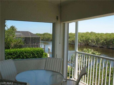 Salt water and preserve view