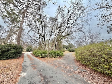 479 Altamaha Rd, Hazlehurst, GA 31539 - photo 4