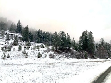 35XX Rockcut Rd, Kettle Falls, WA 99141 - photo 3