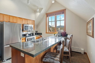 600 S Main St unit 4301, Breckenridge, CO 80424 - photo 6