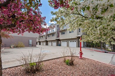 1140 Carbon Jct unit 10, Durango, CO 81301 - photo 3