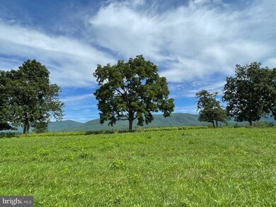 14812 Old Valley Pike, Edinburg, VA 22824 - photo 3