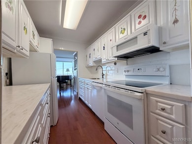 Delaware Tower Condominiums unit 13E, Buffalo, NY 14209 - photo 5