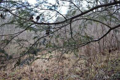 0000 Bradford Rd, Burnsville, NC 28714 - photo 5