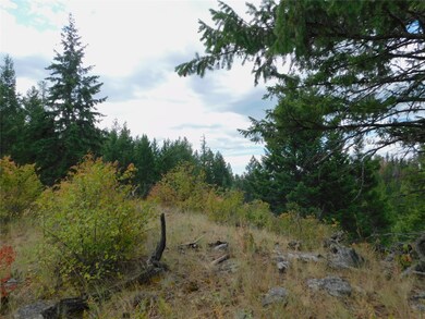 32701 Delaro Ranch Rd, Bigfork, MT 59911 - photo 3