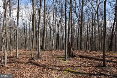 6.11 AC Sideling Mountain Trail, Great Cacapon, WV 25422 - photo 6