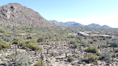 section 31 looking SE