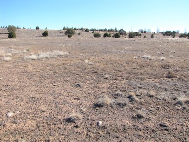 0 W Little Ranch Rd unit 1026612, Paulden, AZ 86334 - photo 7