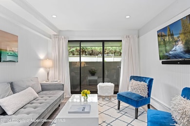 980 E Hyman Ave unit 5, Aspen, CO 81611 - photo 6