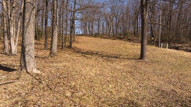 TBD Grandview Dr, Meadows of Dan, VA 24120 - photo 7