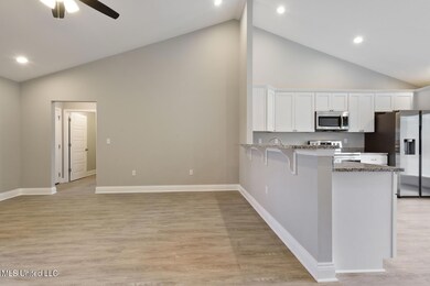 28 Berry Ln, Picayune, MS 39466 - photo 6