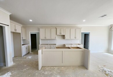 137 Willow Oak Loop, Leesburg, GA 31763 - photo 5