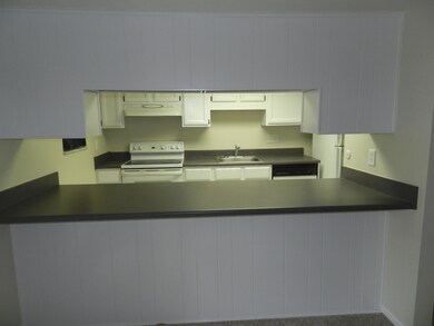 kitchen2