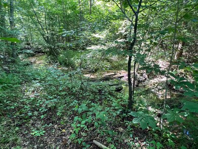 000 Long Rd, Reidsville, NC 27320 - photo 7