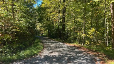 IMG_3211