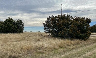 10046 Lakeview Ct, Whitney, TX 76692 - photo 2