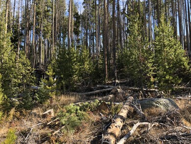 Lot goes up the hill