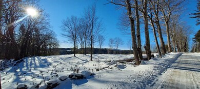 Lot 16 Cass Hill Rd, Meredith, NH 03253 - photo 6