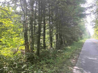 0 Newark St unit 4714978, West Burke, VT 05871 - photo 6