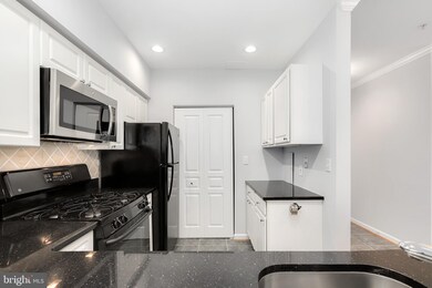 12919 Alton Square unit 407, Herndon, VA 20170 - photo 6