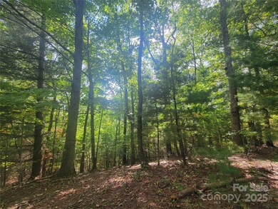 0 Pinewood Dr unit 5, Waynesville, NC 28786 - photo 6