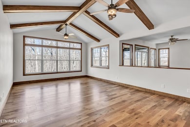 Vaulted Ceilings