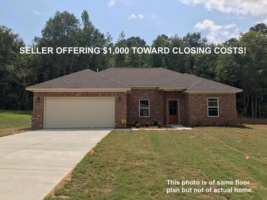 1044 Briarwood Dr, Oxford, MS 38655 - photo 5