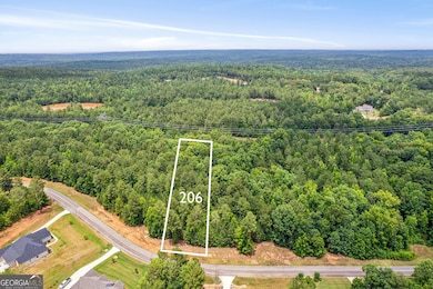 206 Crescent Dr, Forsyth, GA 31029 - photo 3