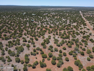 8519 Powell Ln, Show Low, AZ 85901 - photo 4