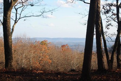 DSC_1229 (1024x685)
