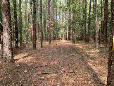 002 Pilgrim Rest Dr, Brandon, MS 39042 - photo 7