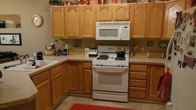 Kitchen View 2