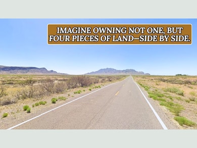 Sunshine Lun unit a New Mexico, Sunshine, NM 88030 - photo 3