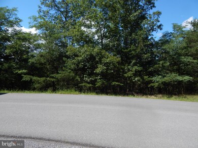 35 Montevideo Rd, Berkeley Springs, WV 25411 - photo 6