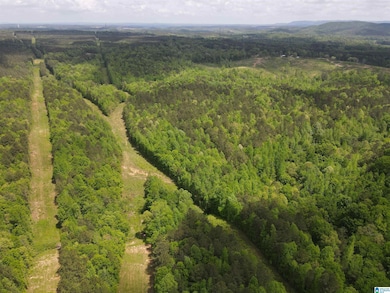 0 Highway 9 unit 1319111, Heflin, AL 36264 - photo 6