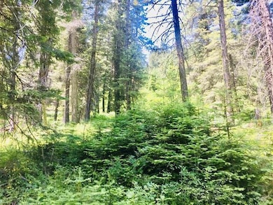 1633 Bear Trail unit 3A-26, Donnelly, ID 83615 - photo 6